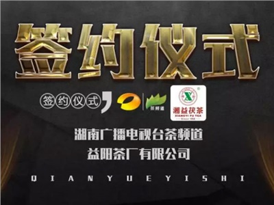 湘益茯，美茗揚 丨湘益茯茶與茶頻道達成長期戰(zhàn)略合作