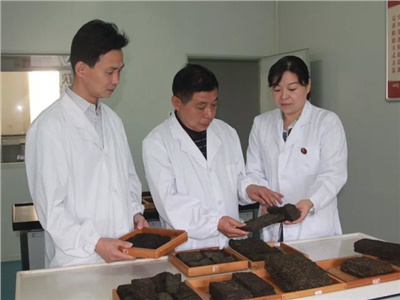傳承茯茶非遺技藝、開(kāi)拓創(chuàng)新引領(lǐng)行業(yè)發(fā)展